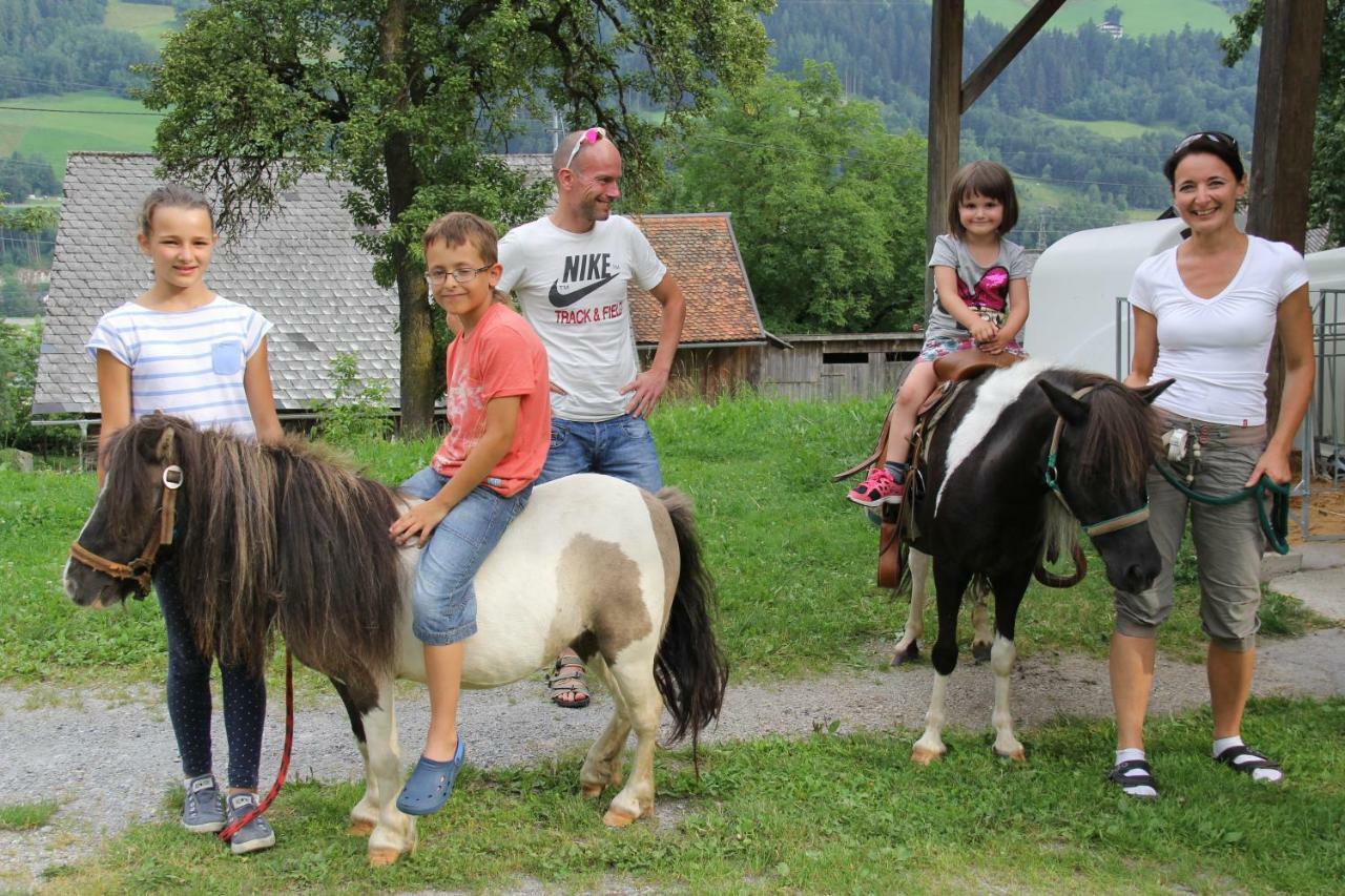 Feldlhof Schladming Exterior foto